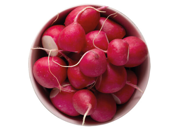 Snack Radieschen