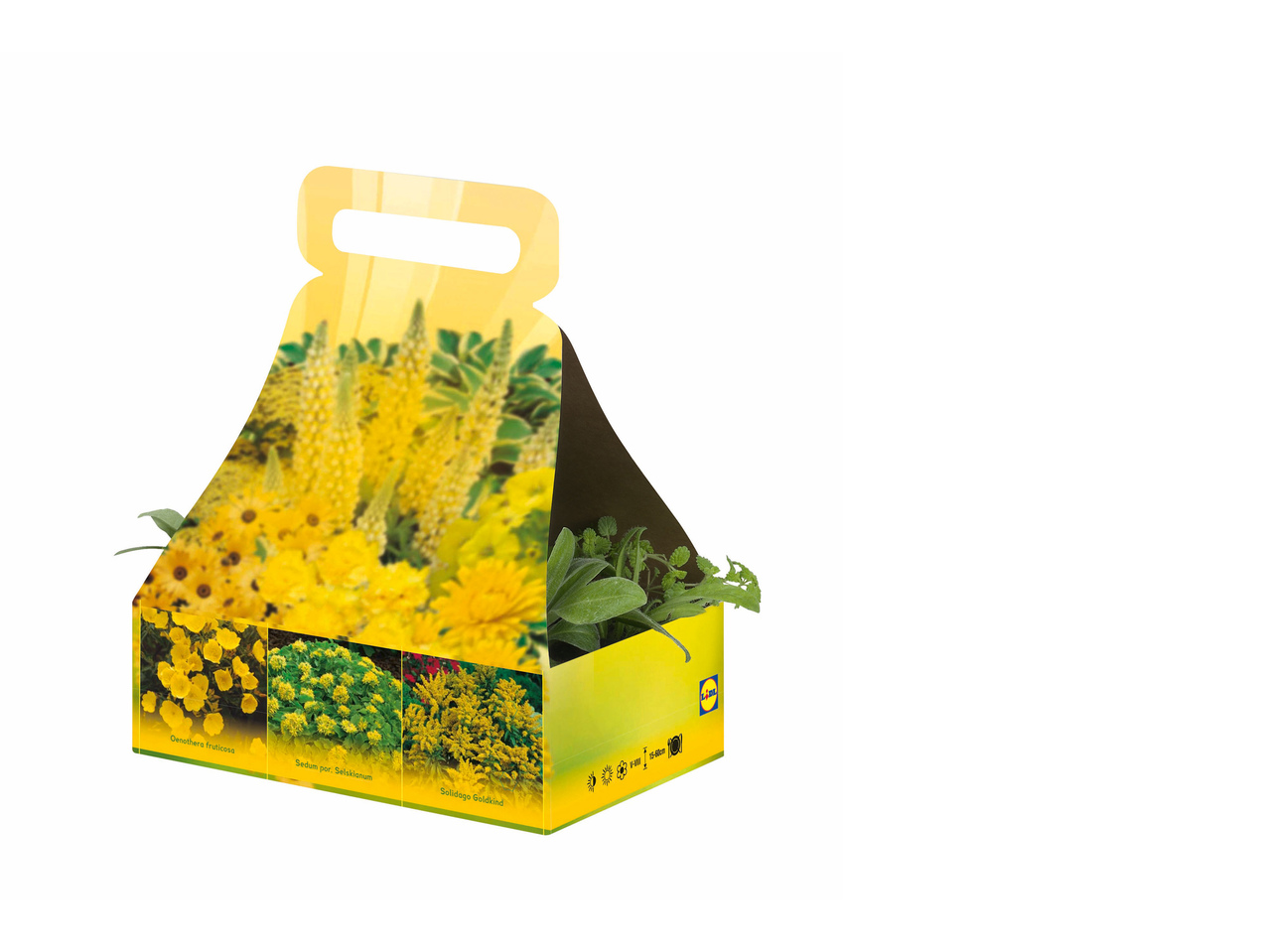 Plantenmix