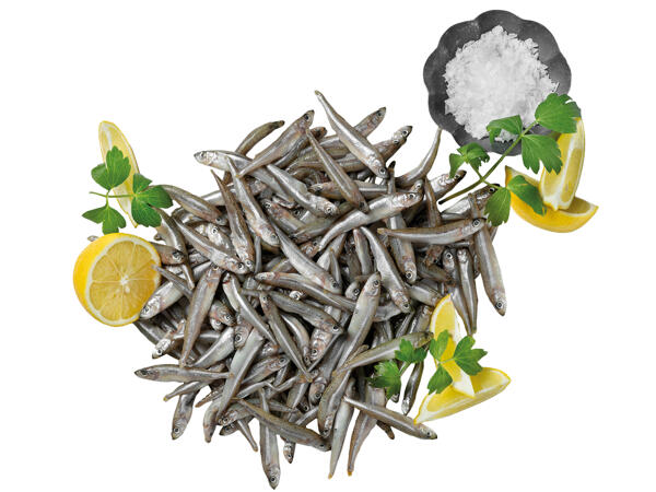 Kleiner Ährenfisch