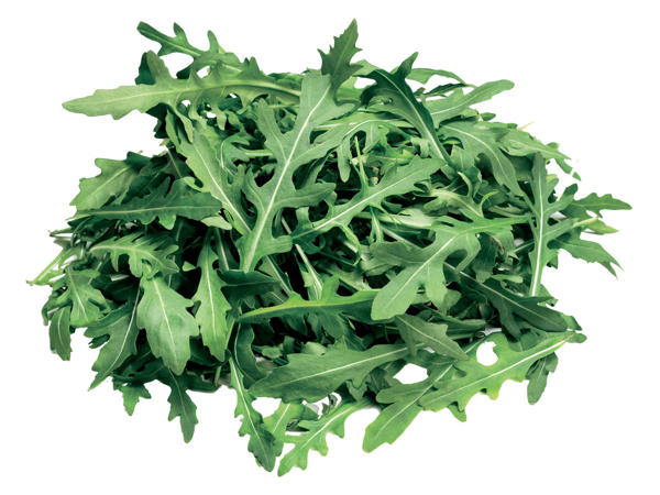Rucola-Salat