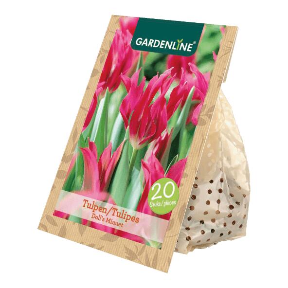 GARDENLINE(R) Tulpenzwiebeln, 20 St.