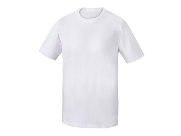 Men's Cotton T-Shirts