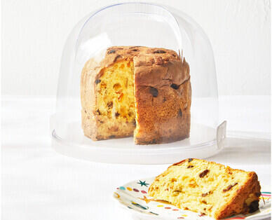 Panettone Storage Container
