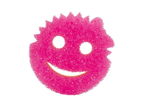 Kitchen Sponge