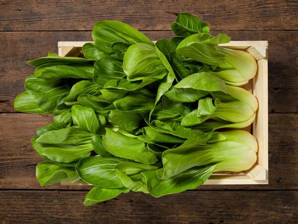 Bok Choi