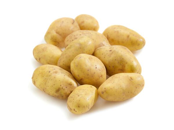 Pommes de terre Nicola