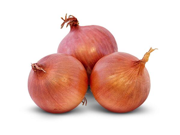 Pink Onions