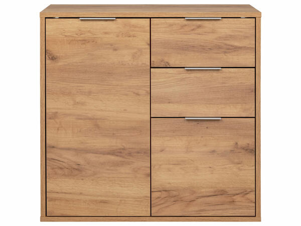 Cabinet with 2 Doors and 2 Drawers