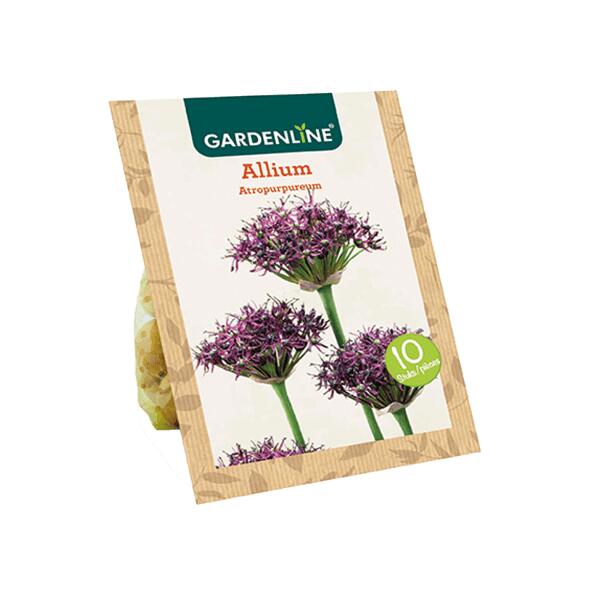GARDENLINE(R) 				Blumenzwiebeln Zierlauch