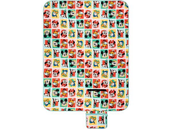 Picnic Blanket