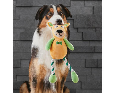 Dog Toy Assortment