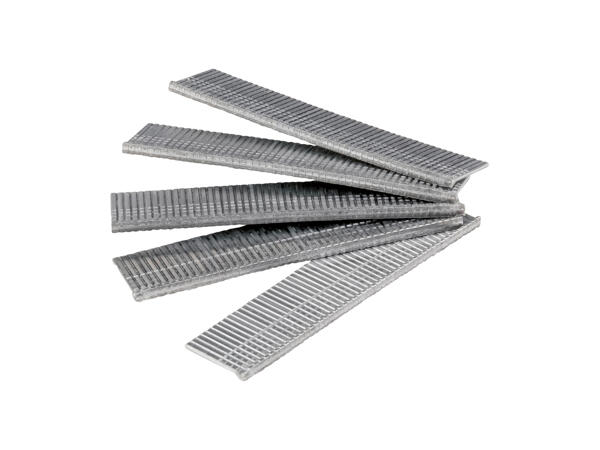 Set of Staples or Nails for Stapler Gun