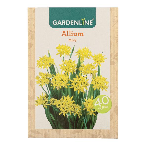 GARDENLINE(R) 				Bulbes à fleurs ail d'ornement