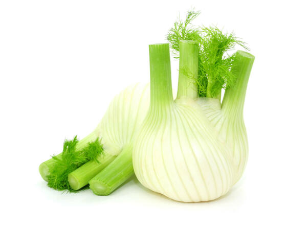 Fenouil