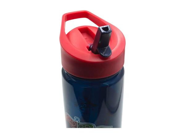 Zak Character Water Bottle - 600ml
