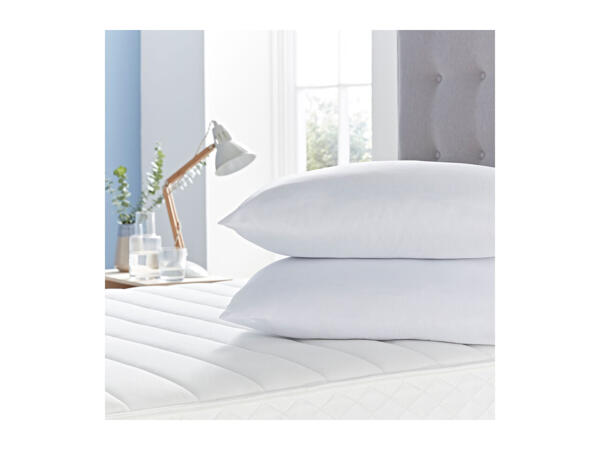 Silentnight Pillow Pair