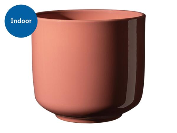 Coloured Ceramics