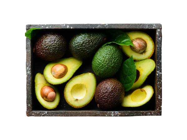 Avokado