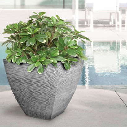 Plantekrukke