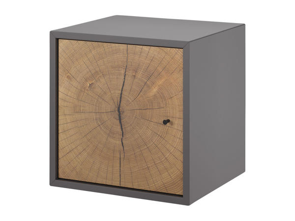 Livarno Living Combine Single Storage System with Door