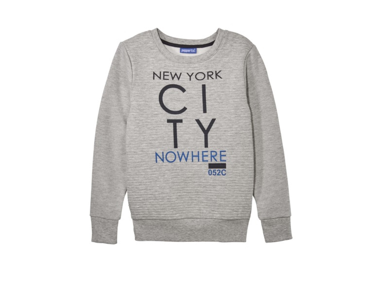 Sweatshirt1