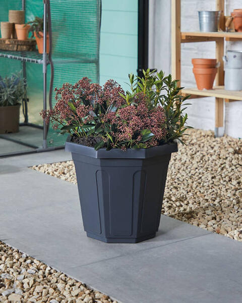 Plastic Plant Pot