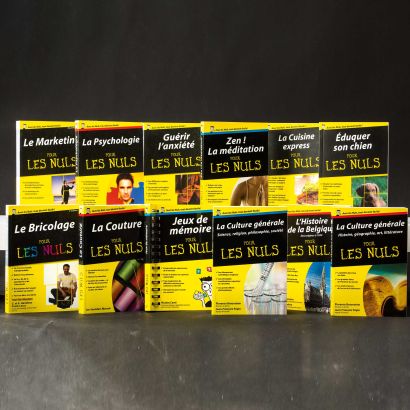 Livre "Pour les nuls"