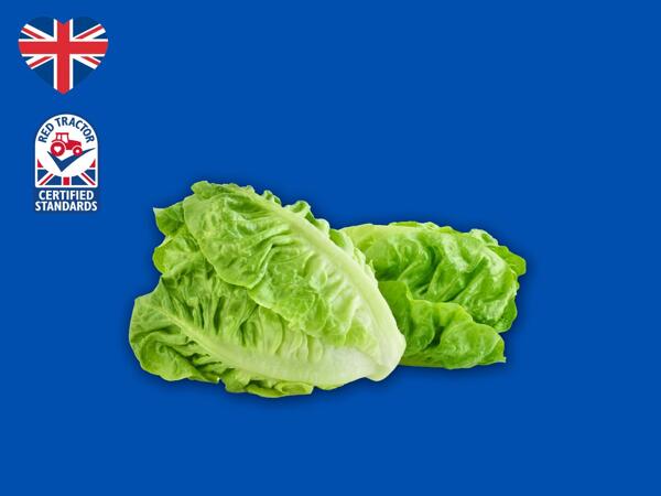 British Romaine Hearts