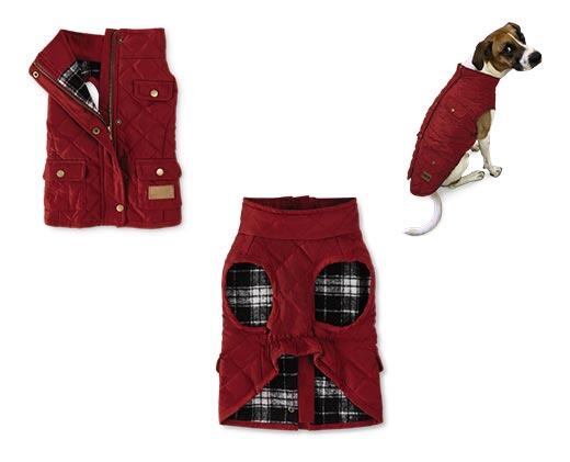 Heart to Tail
Pet Barn Coat