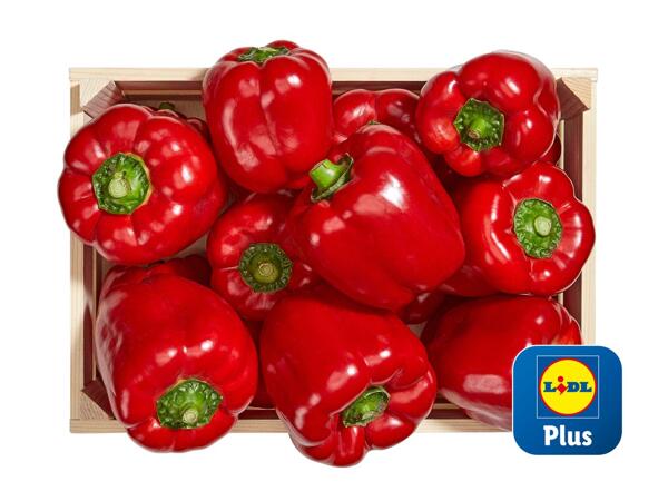 Poivron rouge