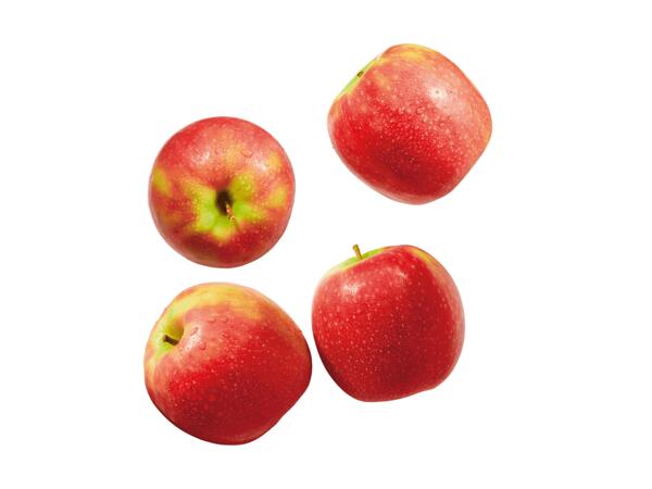 Äpfel rot aus Österreich