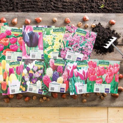 Bulbes de fleurs
