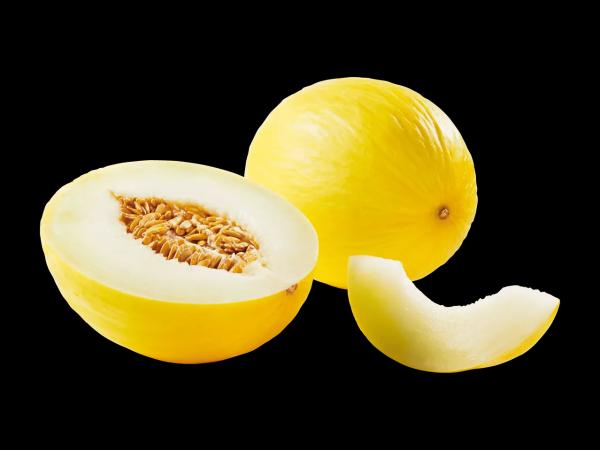 Melon canari