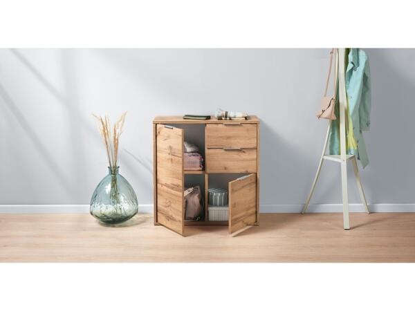 Storage cabinet with 2 doors and 2 drawers
