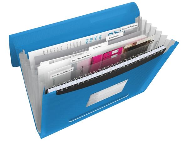 Project File, Divider Book or Box File