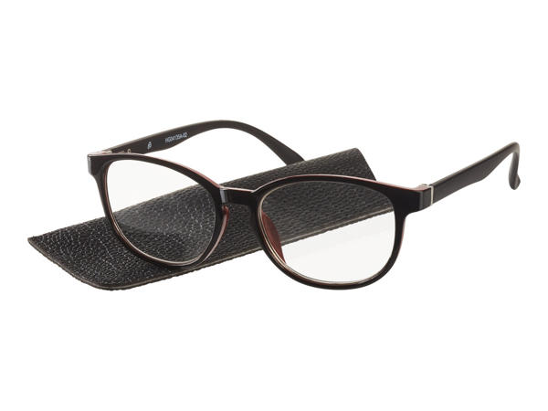 Auriol Reading Glasses with Case1