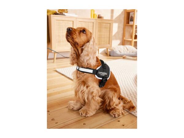 Dog Harness - Large