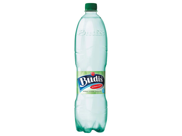 BUDIŠ