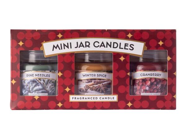 Cranberry / Winter Spice / Pine Needles Mini Jar Candles - Set of 3