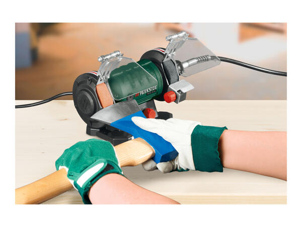 Parkside Double Bench Grinder With Flexible Drive Shaft