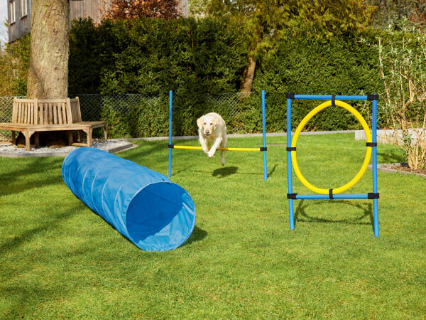 Agility Equipment