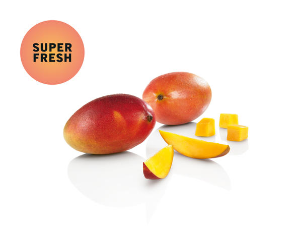 Mangue