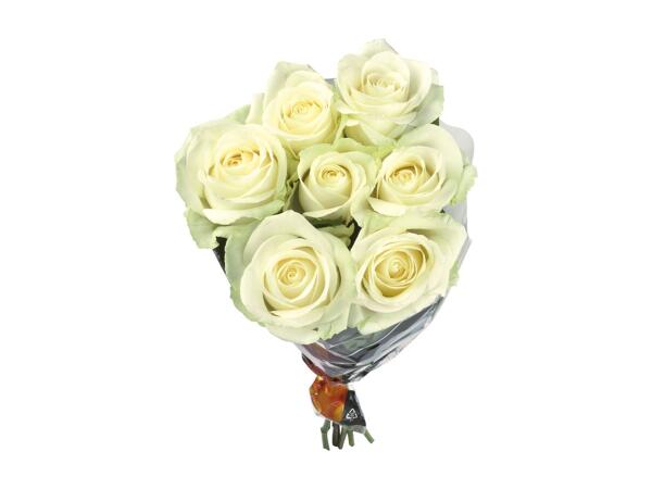 Bunch of Roses XXL