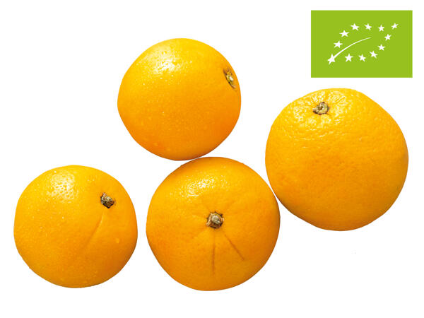 Bio Orangen