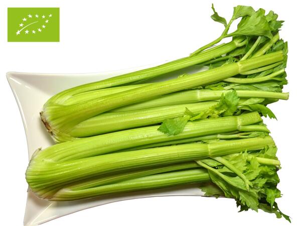 Bio Stangensellerie