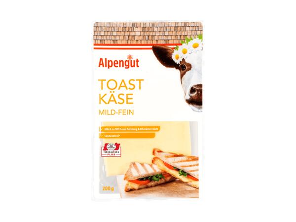 Toastkäse