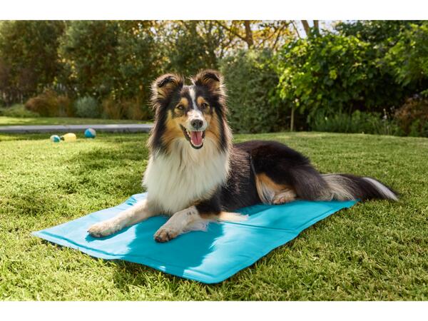 Cooling Mat