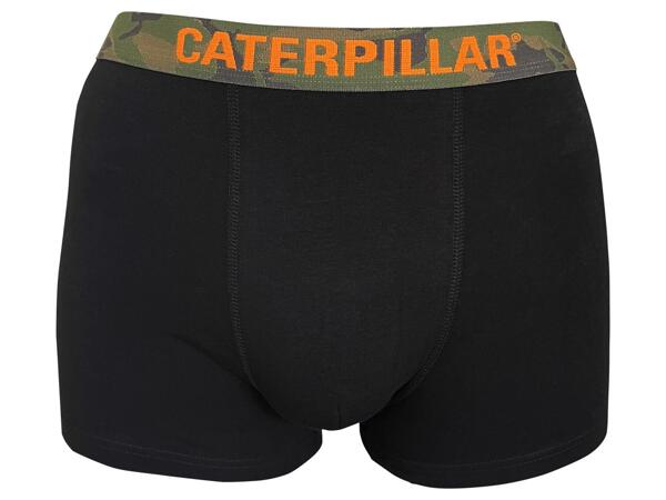 CAT BOXERKY - 2 KUSY