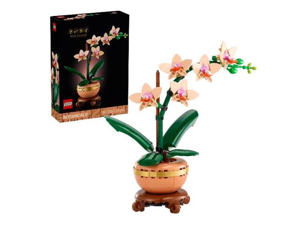 10343 Miniaturní orchidej