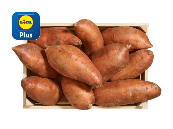 Patate douce
